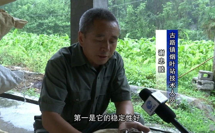 緊緊抓住木屑造粒機生物質顆粒燃料加工場地建設項目落地的契機，找準結合點，推動共和綜合服務型煙農專業合作社與生物質顆粒燃料加工廠的緊密合作.jpg