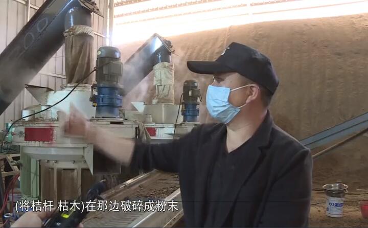 將桔桿、枯木在那邊破碎成粉末，然后經(jīng)過(guò)這兩個(gè)造粒機(jī)的碾壓，形成這種顆粒燃料出來(lái)，形成最后的產(chǎn)品.jpg